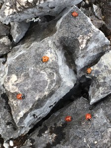 El zurrón del sendero de la vida