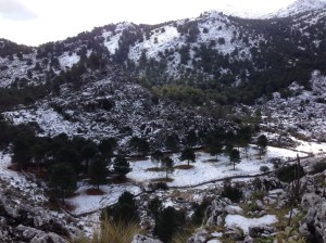 Llanos de El endrinal